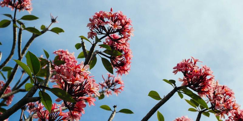 Engels26：哲学与社会科学的革命性交汇