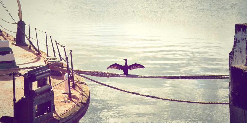 Engels2: Marxism, Critical Theory, and the Future of Political Economy