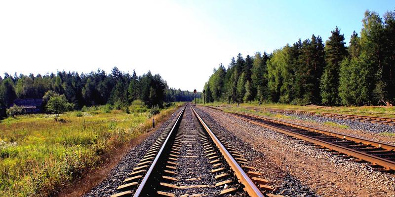 Engels' Ecological Philosophy in Dialectics of Nature and Its Legacy in Contemporary Eco-Marxism