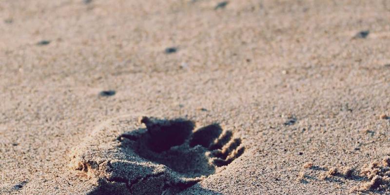 哲学基本问题的经典界定：恩格斯《路德维希·费尔巴哈和德国古典哲学的终结》的马克思主义视角