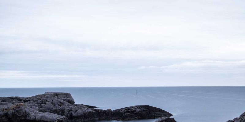 恩格斯85：重访批判理论与政治经济学的交汇点