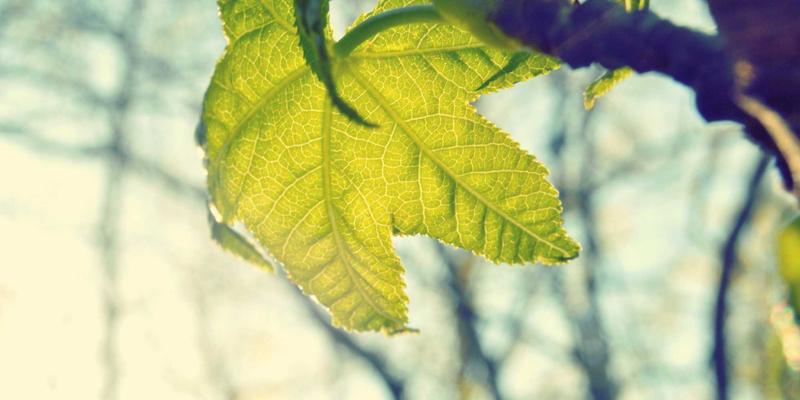 恩格斯军事著作中的历史唯物主义方法：以《步兵战术》为例