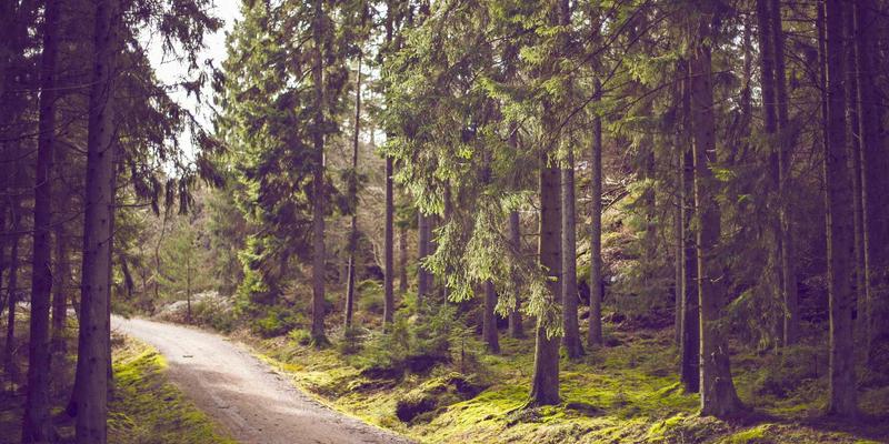 恩格斯在马克思主义新闻观形成中的贡献与实践：社会科学与批判理论视角