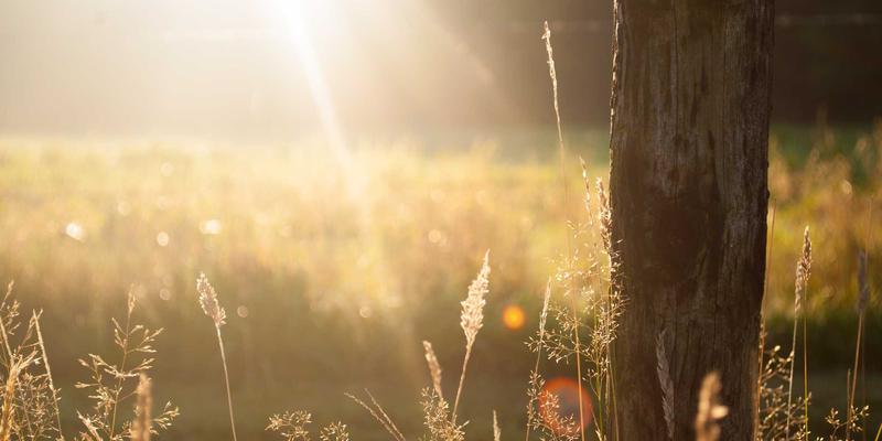 恩格斯思想评述：批判理论、社会科学与马克思主义的当代回响