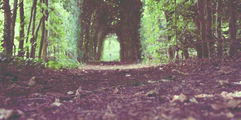 恩格斯晚年书信中的历史唯物主义新阐释：对经济基础与上层建筑关系的辩证思考