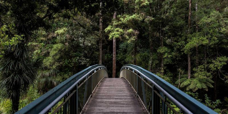 恩格斯晚年如何塑造马克思主义在美国的社会科学传播：哲学视角与策略遗产