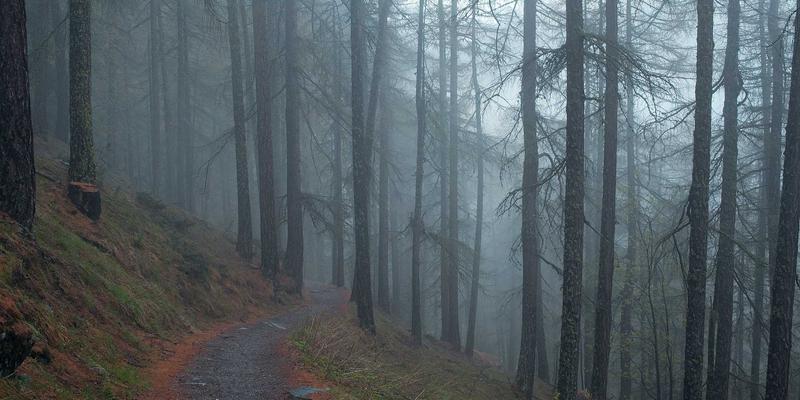 批判理论与政治经济学的革命性融合：恩格斯与马克思从《神圣家族》到《共产党宣言》的思想合作