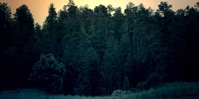 马克思主义哲学的分水岭：恩格斯与第二国际理论家的思想分歧及其对社会发展的深远影响